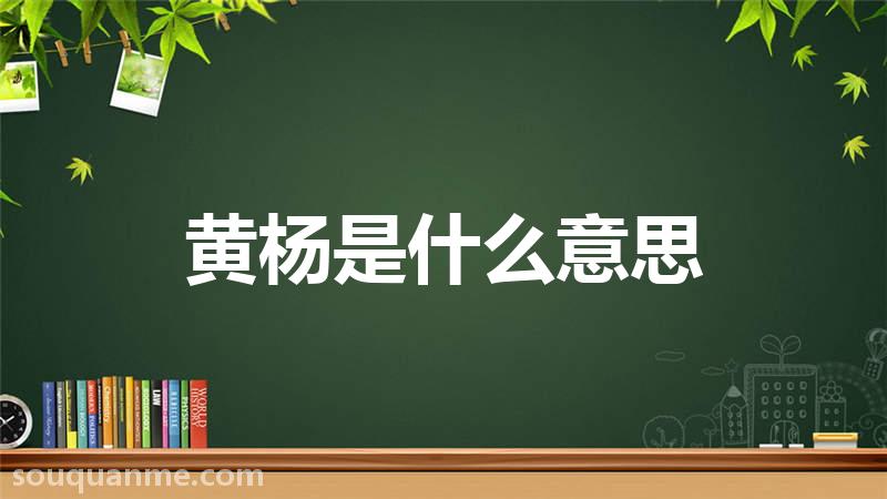 黄杨是什么意思 黄杨的读音拼音 黄杨的词语解释